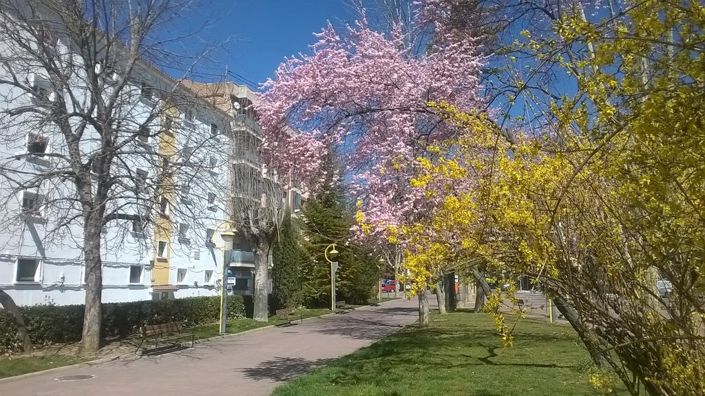 Apartamento Isabel Куенка Екстериор снимка